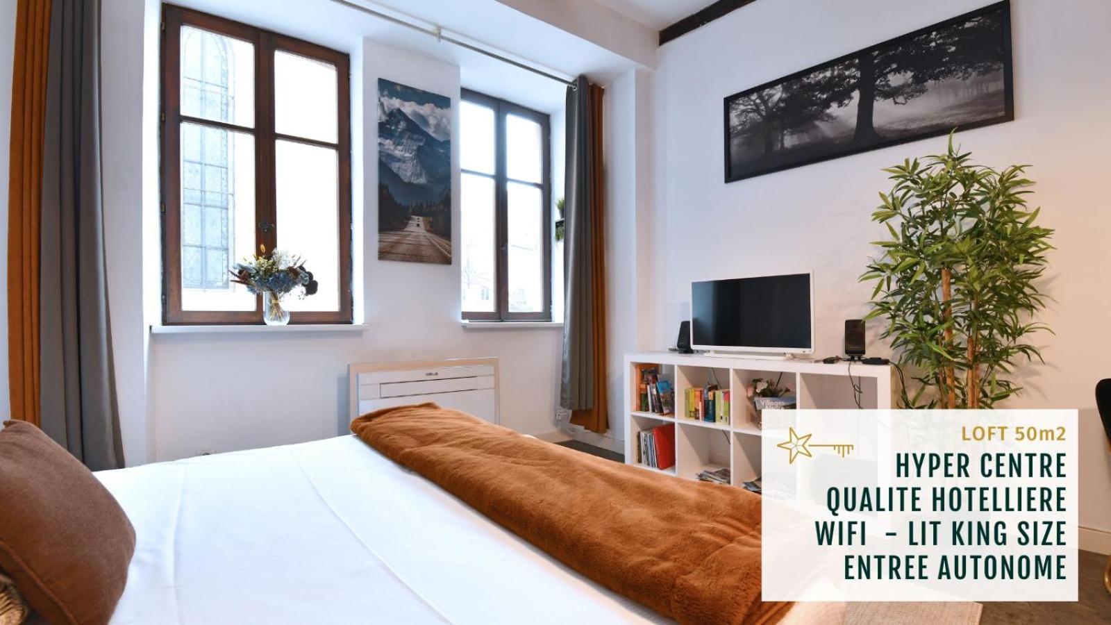 Soon - Le Loft Apartment Colmar